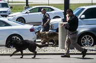Police dogs search cars in a parking lot at Bishop International Airport on Wednesday morning in Flint, Mich. Officials evacuated the airport Wednesday, where a witness said he saw an officer bleeding from his neck and a knife nearby on the ground. Authorities say the injured officer’s condition is improving. 